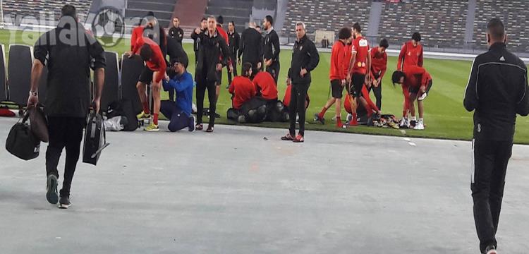 الاهلي الاهلي